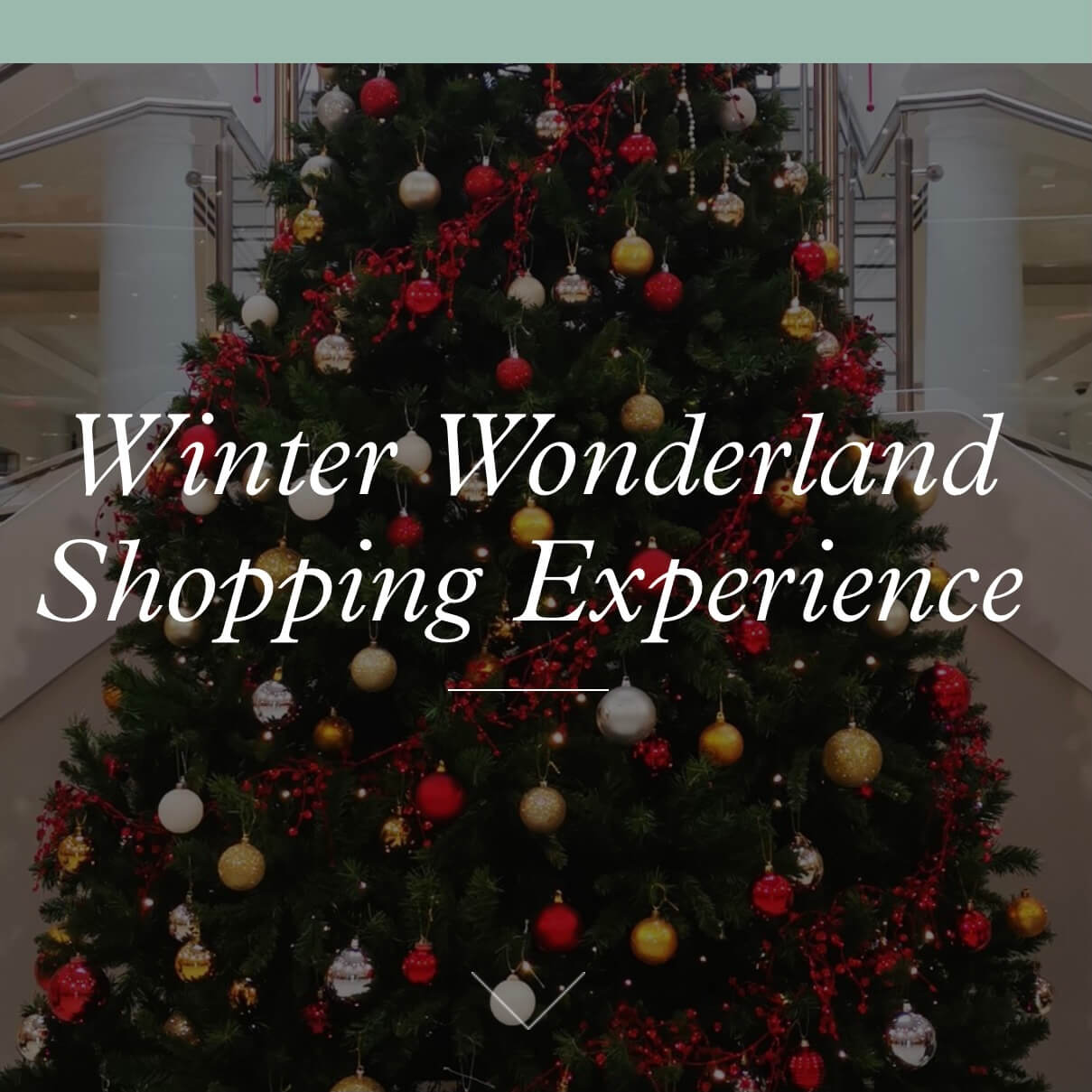 Tennants Winter Wonderland